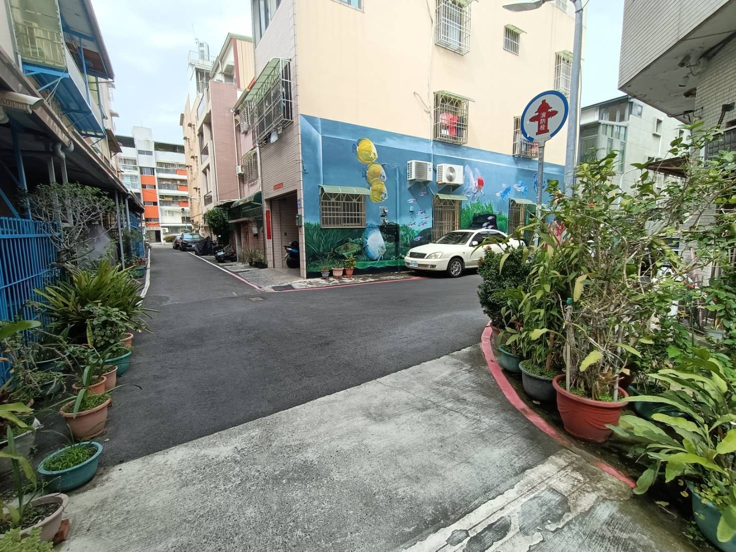 街景 美術館+內惟+柴山(3合1超值透天)