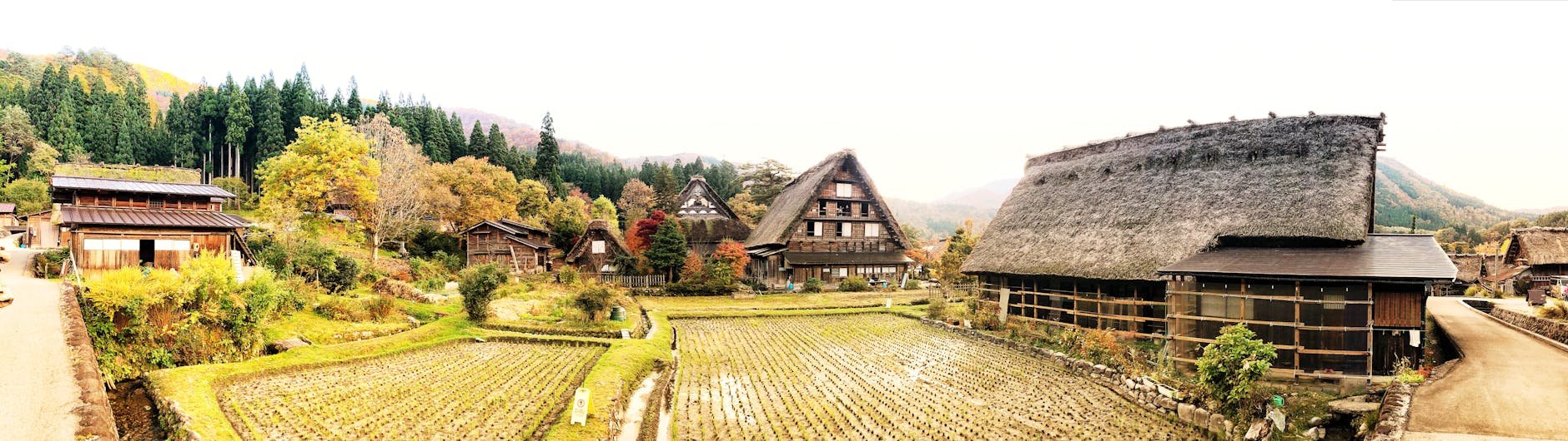高雄的住宅織錦:編織傳統、現代性與環境於在地居住文化及建築之中 farm field surrounded by houses