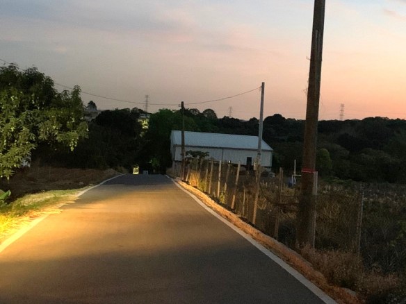 大樹坪頂臨路風水聖地後花園