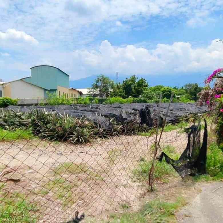 屏東內埔農地