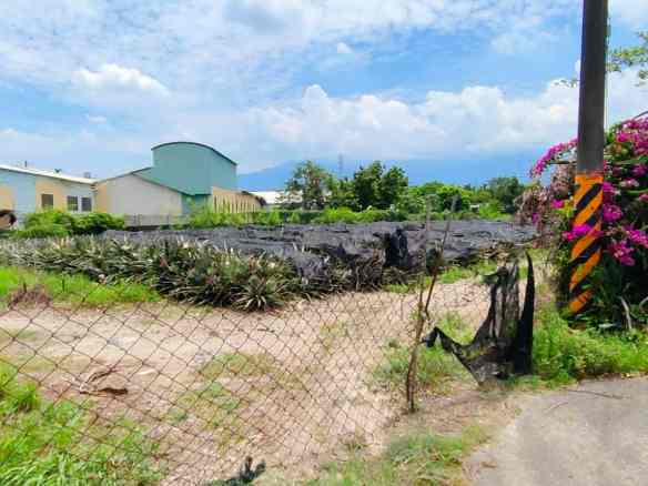 屏東內埔農地