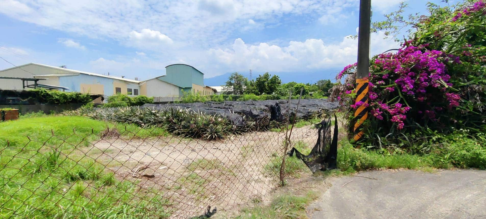 345547_0 屏東內埔農地