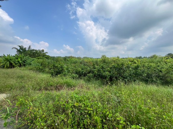 高雄市田寮區田寮段農地