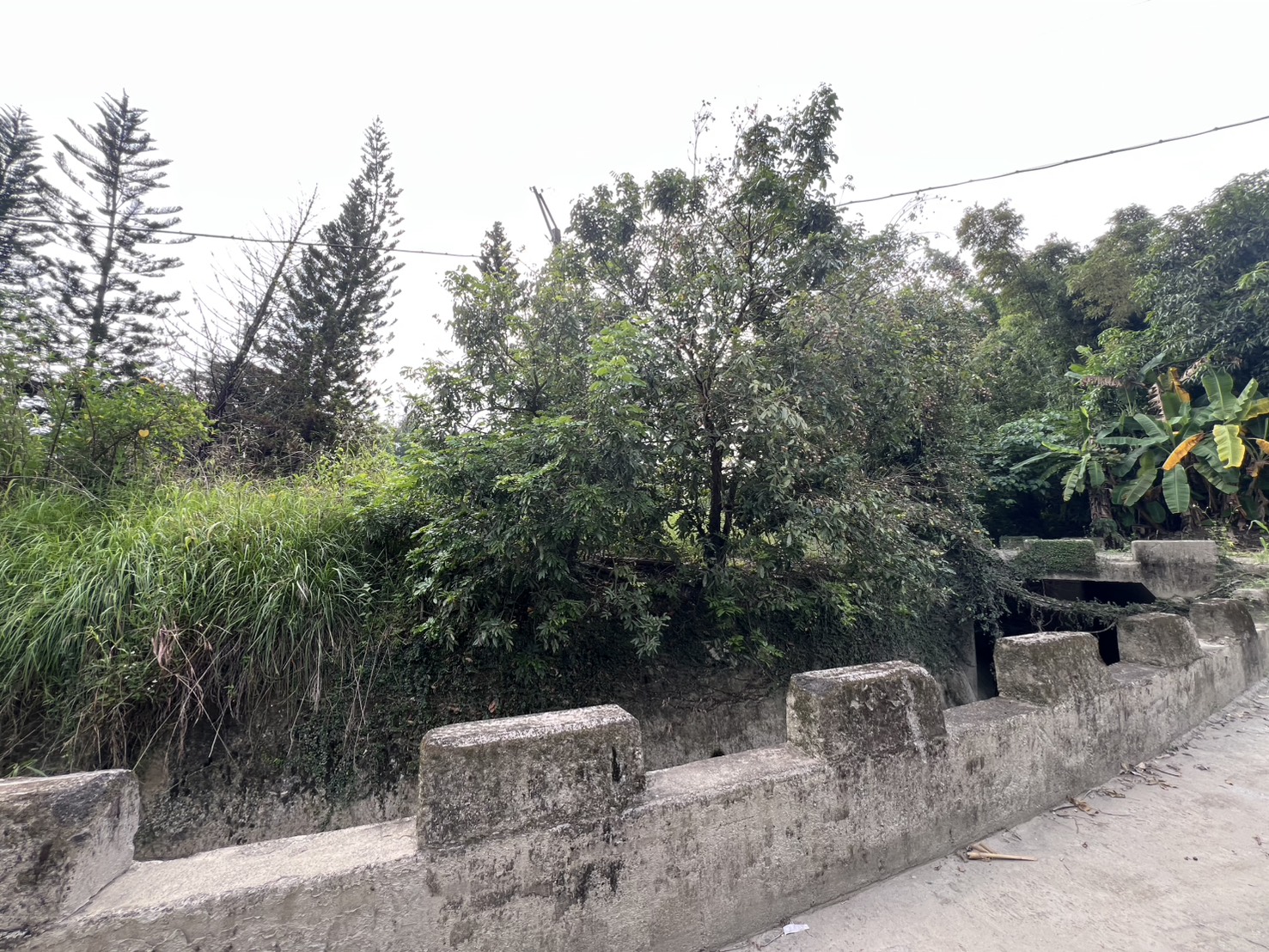 高雄市田寮區田寮段農地