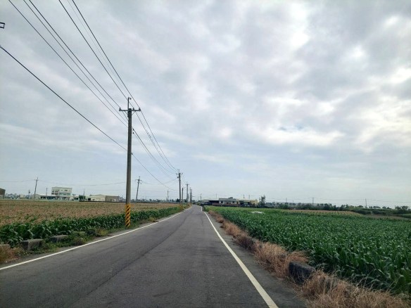 專約💎台南鹽水 10米路美農地