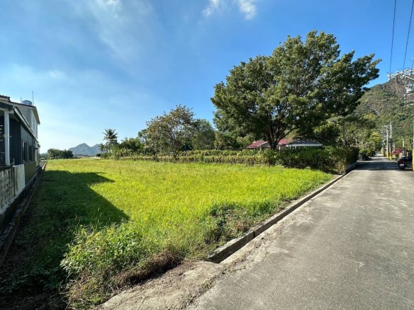 美濃民俗村鄰路方正農地
