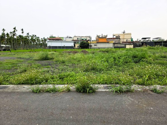 屏東崁頂港東國小三角窗建地