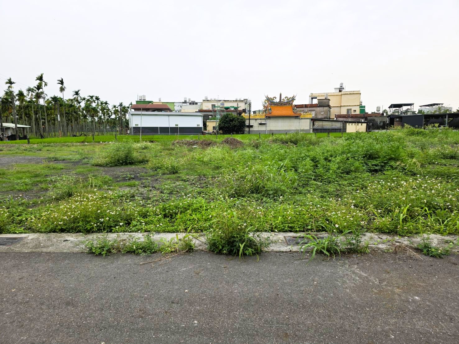 84955 屏東崁頂港東國小三角窗建地
