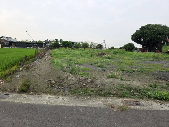 屏東崁頂港東國小三角窗建地