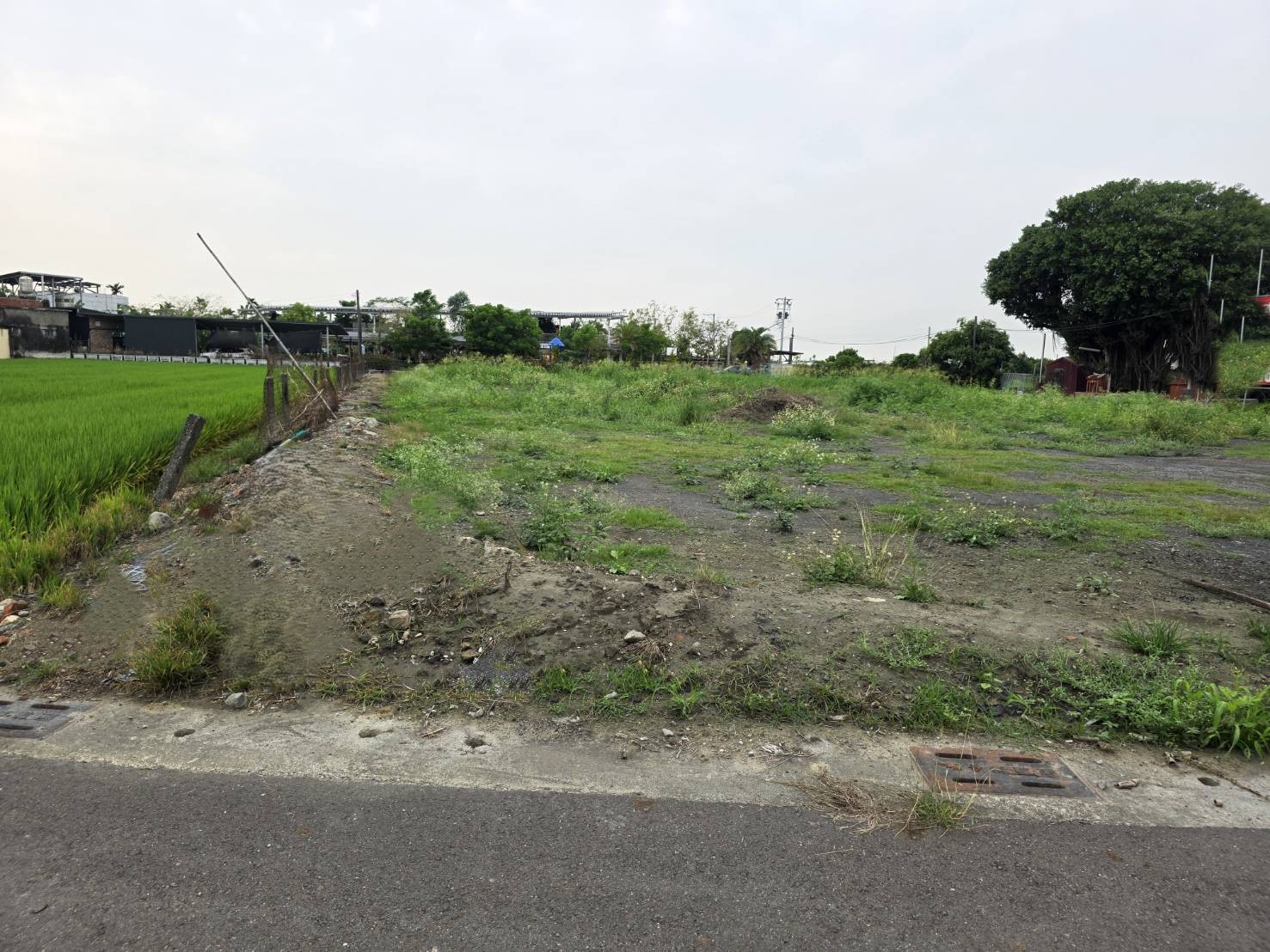 84959 屏東崁頂港東國小三角窗建地