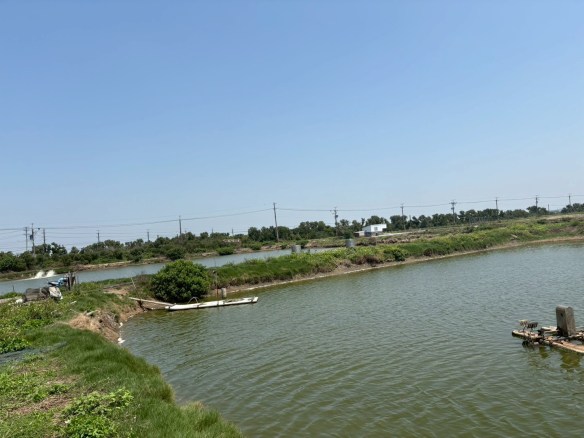 專約✦台南安南區土地稀有釋出
