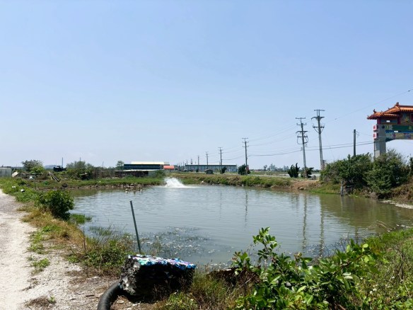 專約✦台南城西段臨路農地
