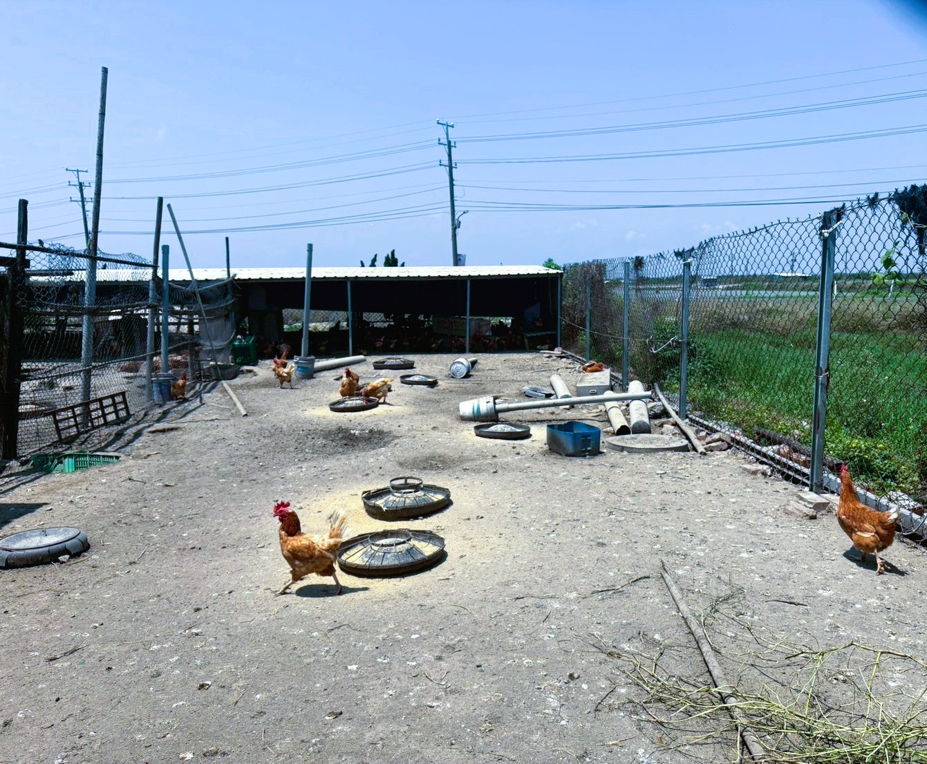 LINE_ALBUM_城西段16-1相片_260416_19 專約✦台南城西段臨路農地