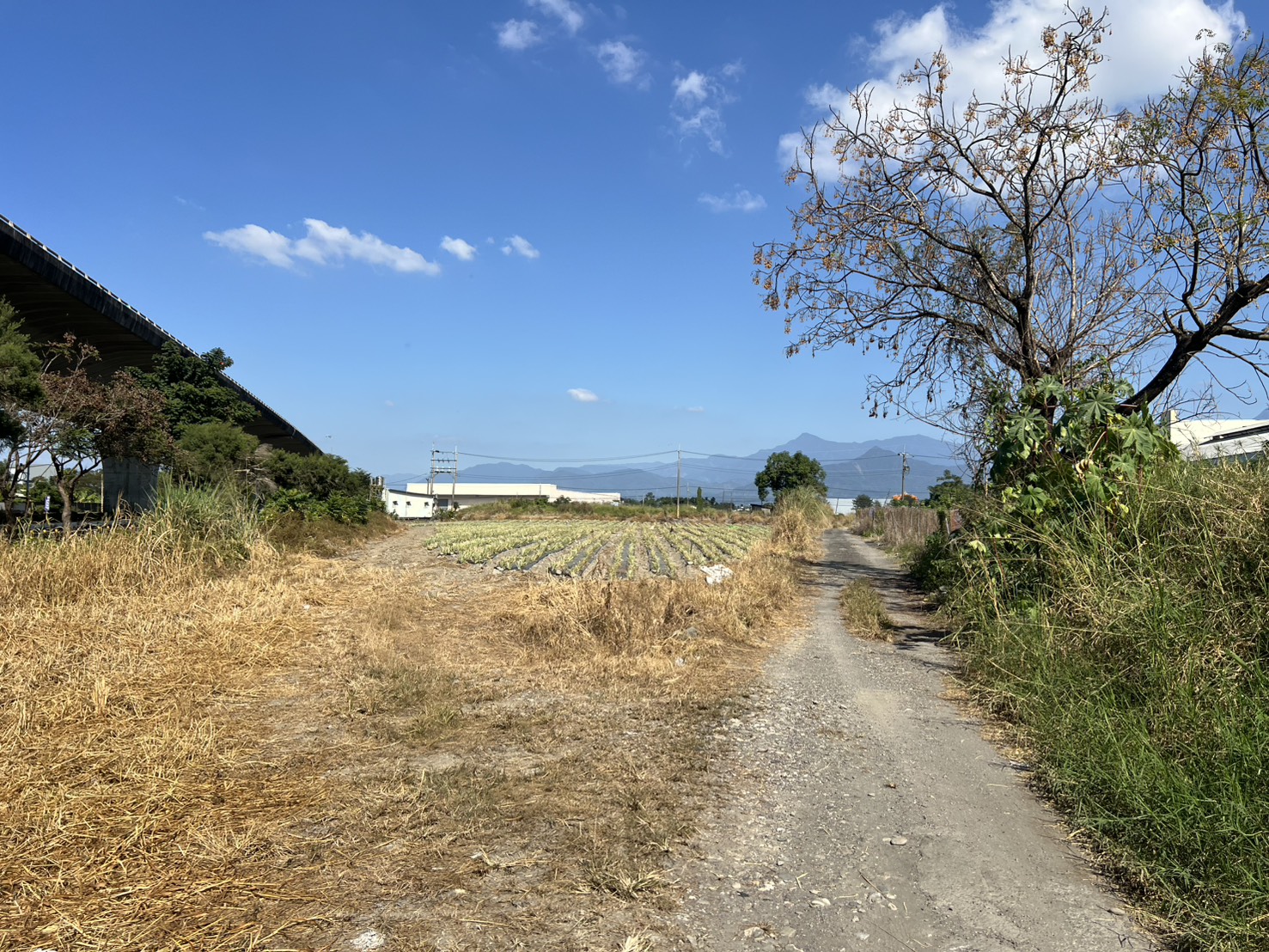 S__169115739_0 – 複製_0 長治近義大醫院美農地