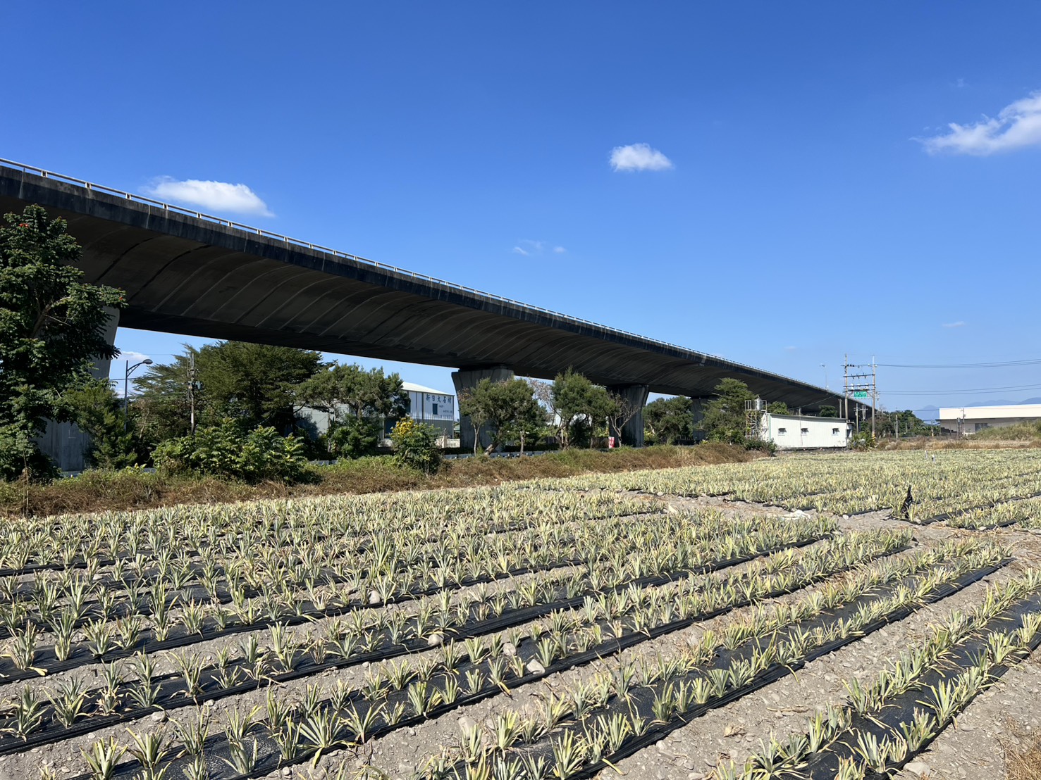 S__169115789_0_0 長治近義大醫院美農地