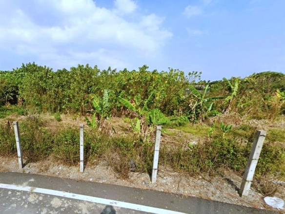 屏東麟洛大湖圳甲種建地